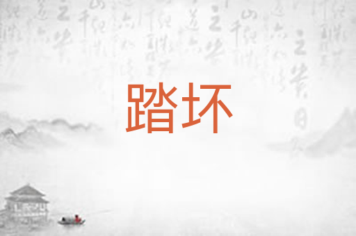 踏坏