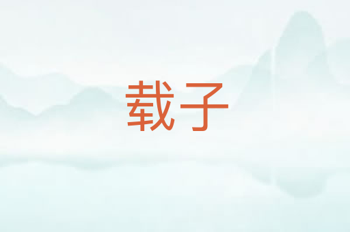 载子