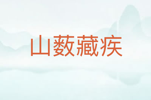山薮藏疾