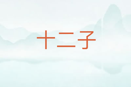 十二子