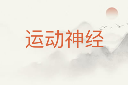 运动神经
