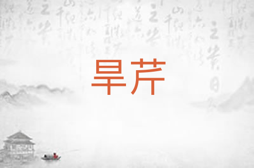 旱芹