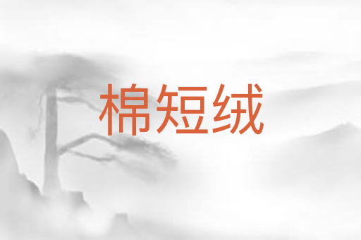 棉短绒