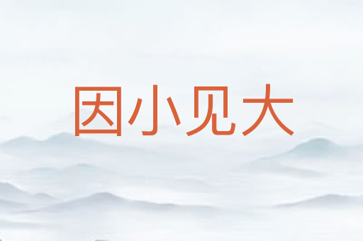 因小见大