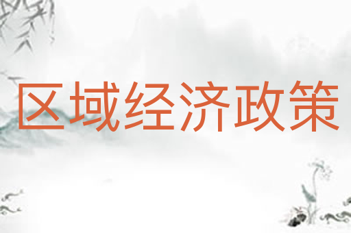 区域经济政策