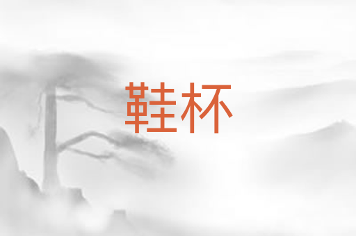 鞋杯