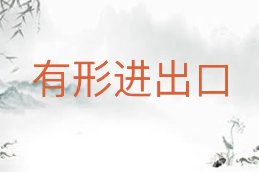 有形进出口