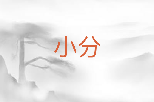 小分
