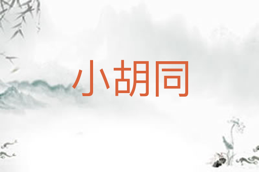 小胡同