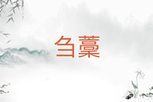 刍藳