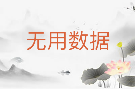 无用数据