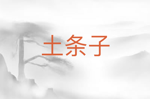 土条子