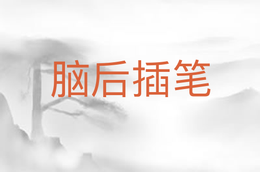 脑后插笔