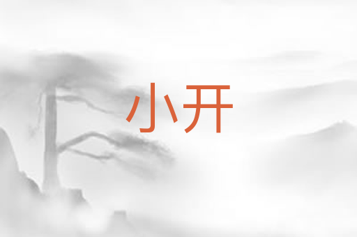 小开