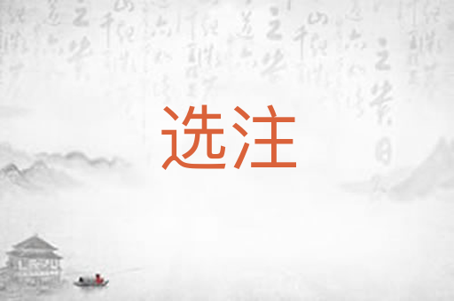 选注