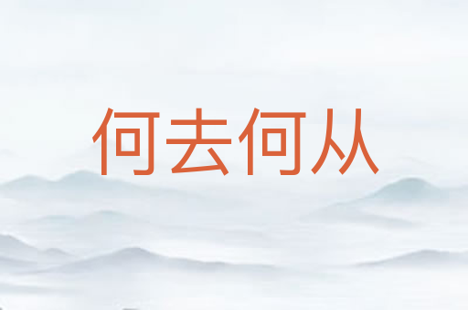 何去何从