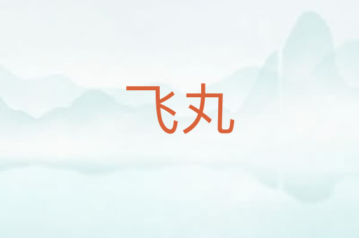 飞丸