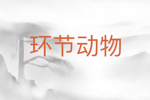 环节动物