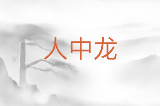 人中龙