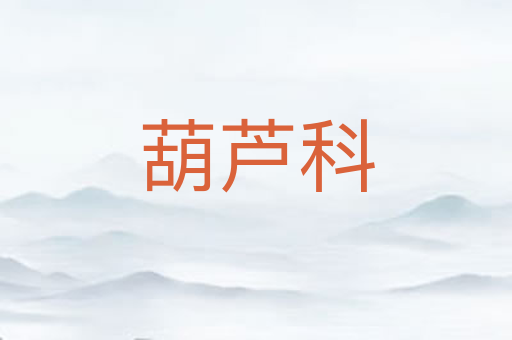 葫芦科