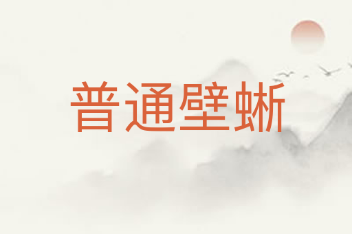 普通壁蜥