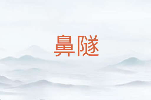 鼻隧