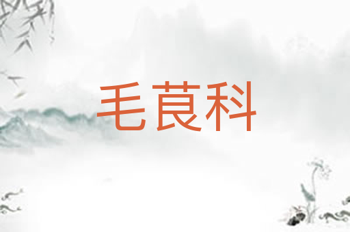毛茛科
