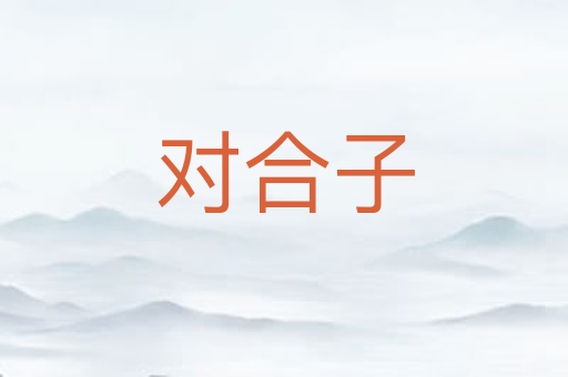 对合子