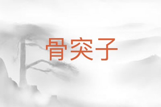 骨突子