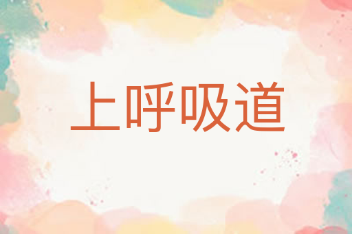 上呼吸道