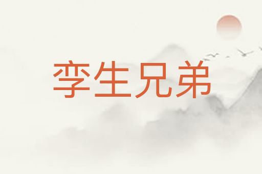 孪生兄弟