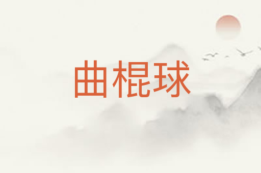 曲棍球