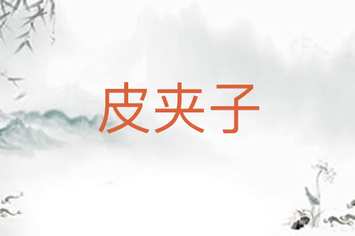 皮夹子