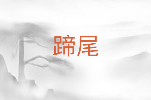 蹄尾