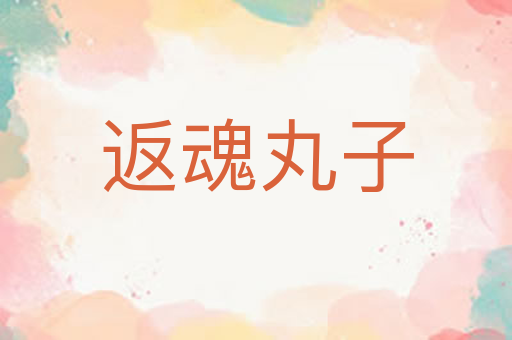 返魂丸子