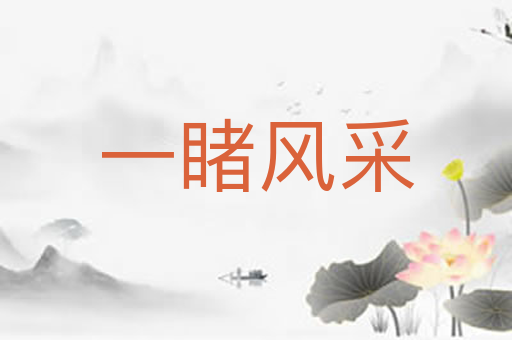 一睹风采