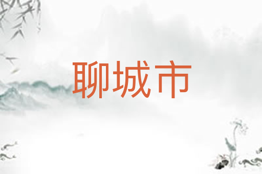 聊城市