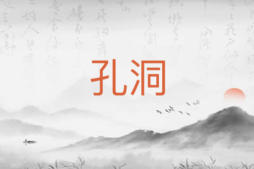 孔洞