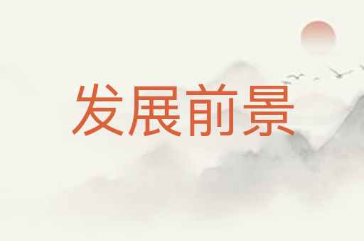 发展前景