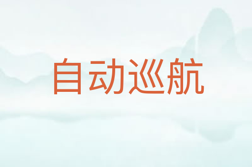 自动巡航