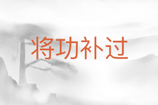 将功补过