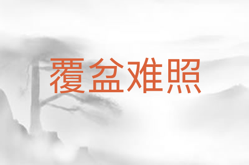 覆盆难照