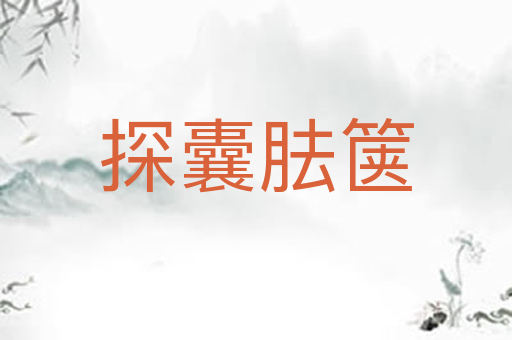 探囊胠箧