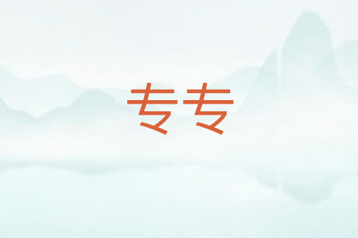 专专