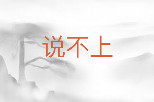 说不上