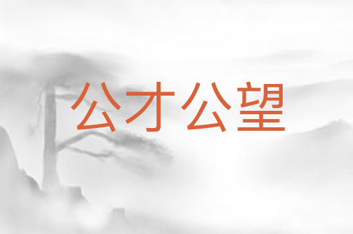 公才公望