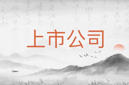 上市公司