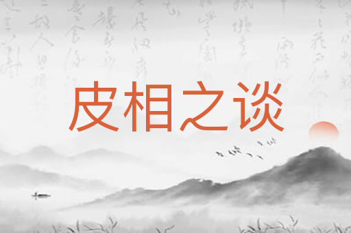 皮相之谈