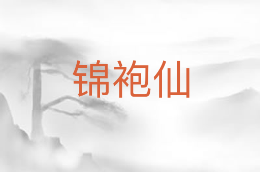 锦袍仙