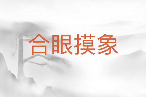 合眼摸象